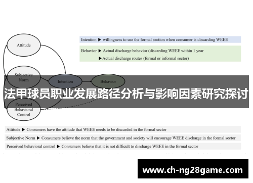 法甲球员职业发展路径分析与影响因素研究探讨