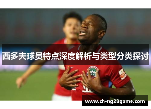 西多夫球员特点深度解析与类型分类探讨